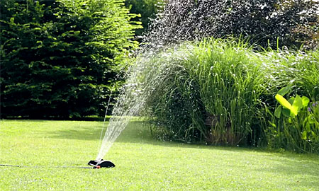 Rasensprenger im Betrieb auf einer Wiese
