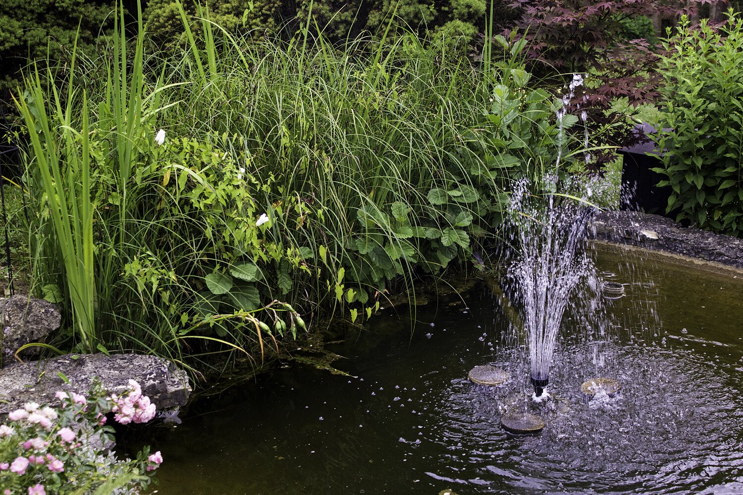Schwimmende Fontäne in einem Gartenteich