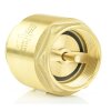 Rückschlagventil aus Messing, Innengewinde 1" (33,25 mm)