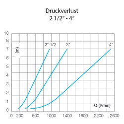 Edelstahl Rückschlagventil 2x Innengewinde 2" (59,61 mm)