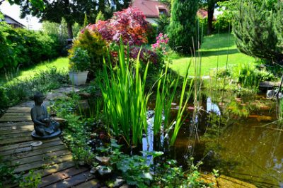 Gartenteich mit Buddhafigur