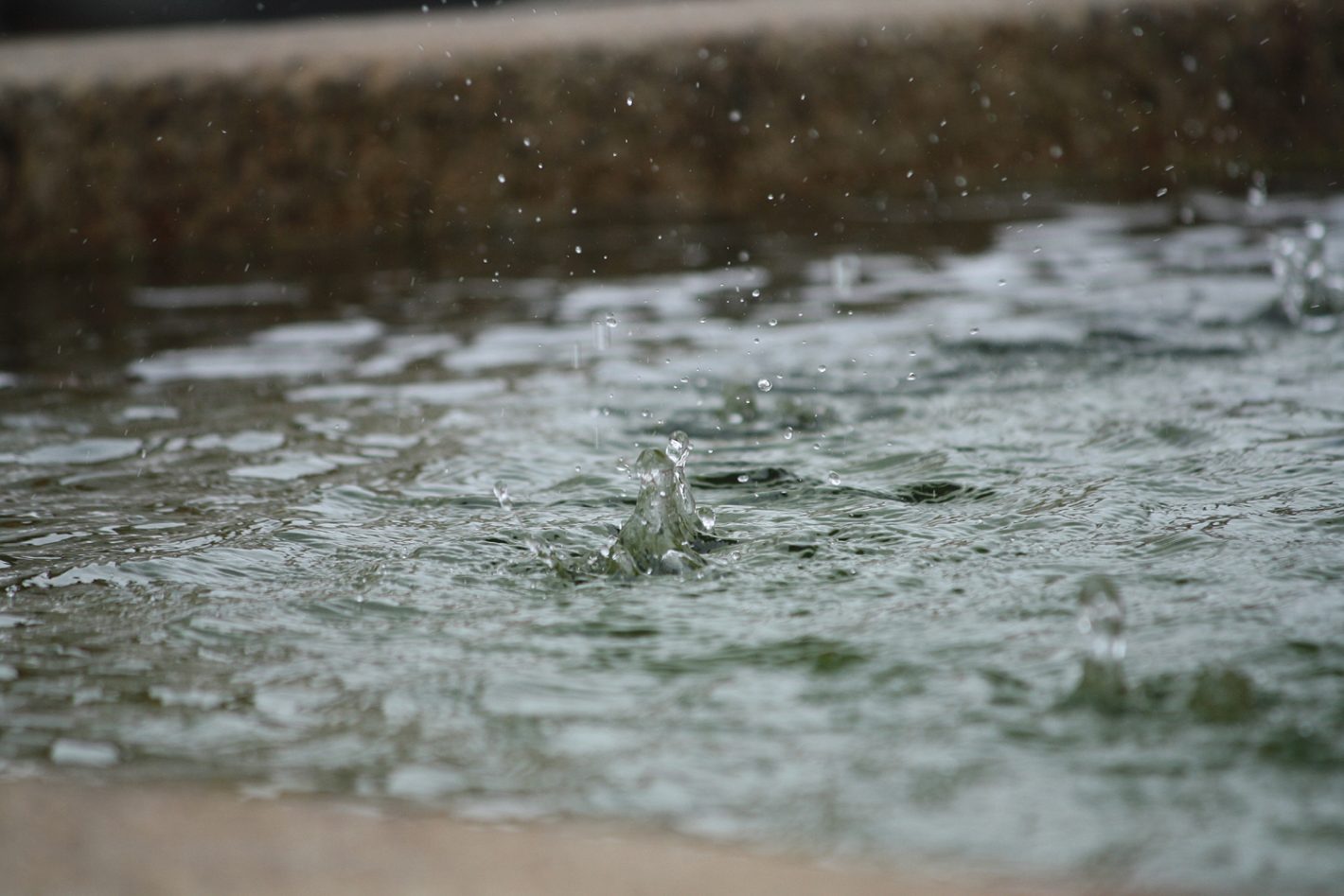 Grundwasser und Regenwasser für den Gartenteich nutzen