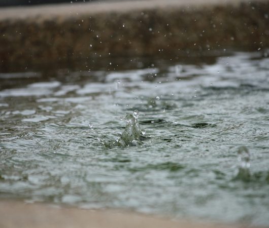 Grundwasser und Regenwasser für den Gartenteich nutzen