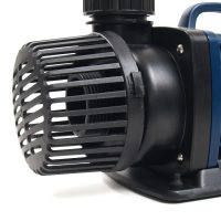 Nauaufnahme Des Ansaugkorbes der Teichpumpe